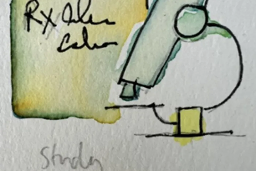 En tegning av en frosk